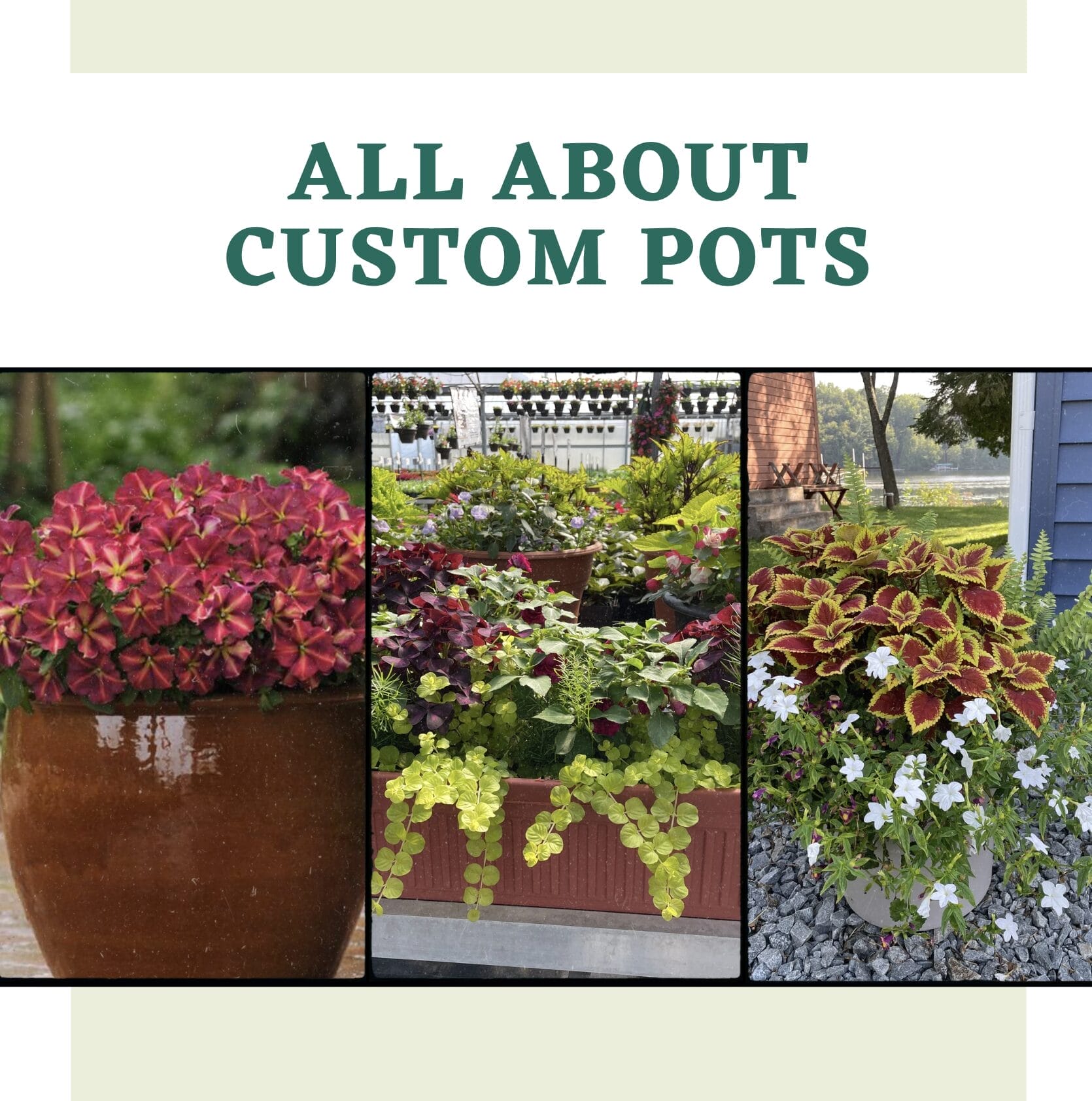 custom pots